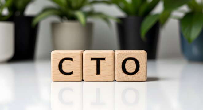 CTO Wooden Blocks on White Surface - Chief Technology Officer Concept