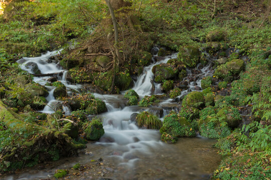 尚仁沢源流の湧水
