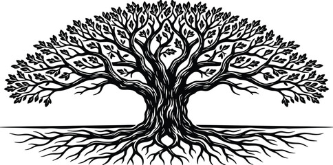 Big old oak tree with spreading roots, black and white vector illustration, nature silhouette, woodcut style, detailed isolated sketch, organic plant. © RAFI