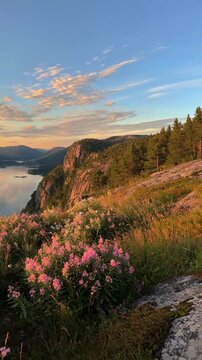 Stunning Aerial View of Fjord Landscape with Wildflowers at Sunset