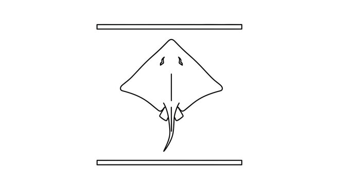 Minimalist black outline drawing of a majestic stingray between two parallel lines showcasing