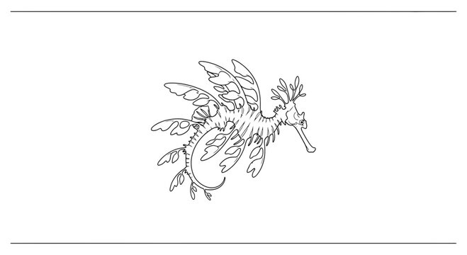 Intricate single line drawing of a leafy sea dragon showcasing its unique aquatic form and subtle