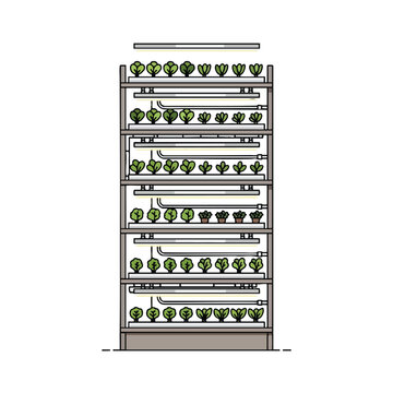 A vertical indoor farm with multiple levels of green plants under grow lights