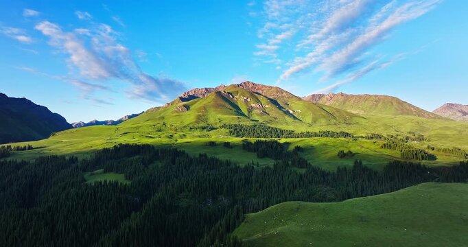 Aerial view of a lush green valley with dense forests and majestic mountain ranges in the morning, Xinjiang, China.
