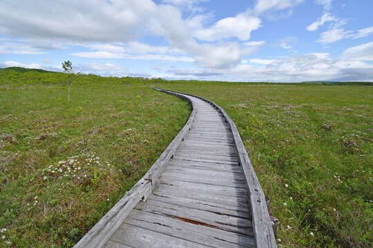 釧路湿原の木道（北海道・鶴居村）