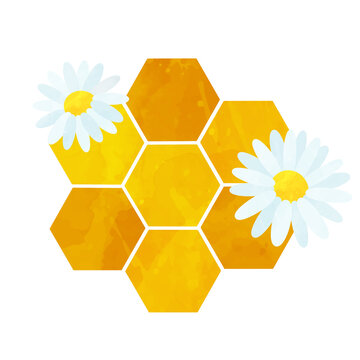 Honeycomb hexagon with daisy flowers pattern illustration