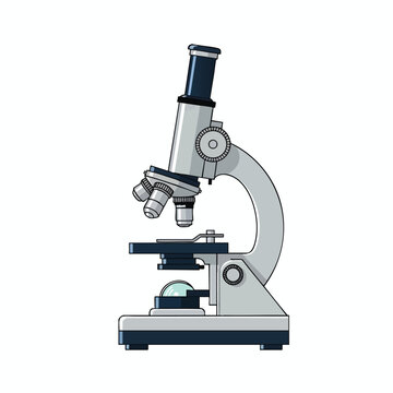 A detailed illustration of a compound microscope on a white background