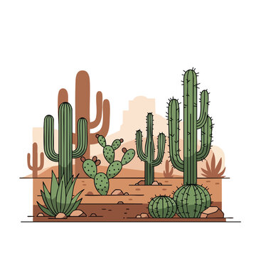 A desert landscape scene with various cacti and arid vegetation