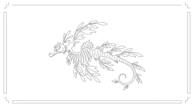 Graceful line art featuring an exquisite leafy sea dragon, a symbol of underwater wonder and fantasy