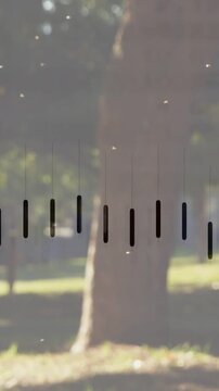 Vertical video: Trunk centering park while dust drifting waveform reacting over trunk to 144 for IT