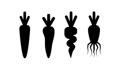 Fototapeta premium Hand drawn carrot set with four unique shapes twisted and multi root vegetable illustration