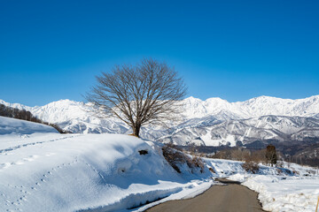 白馬村から望む冬の北アルプス © RATM