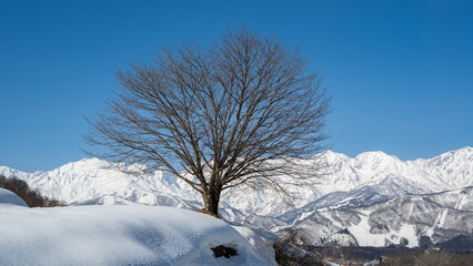 白馬村から望む冬の北アルプス © RATM