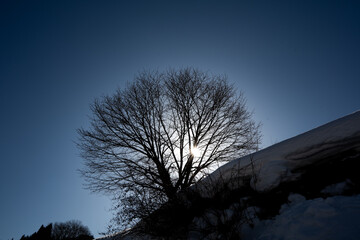 白馬村から望む冬の北アルプス © RATM