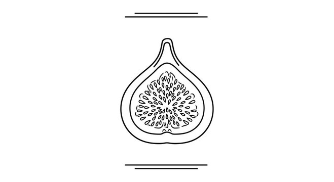 Minimalist monochrome line art illustration of a fig halved to showcase its delicate seed patterns