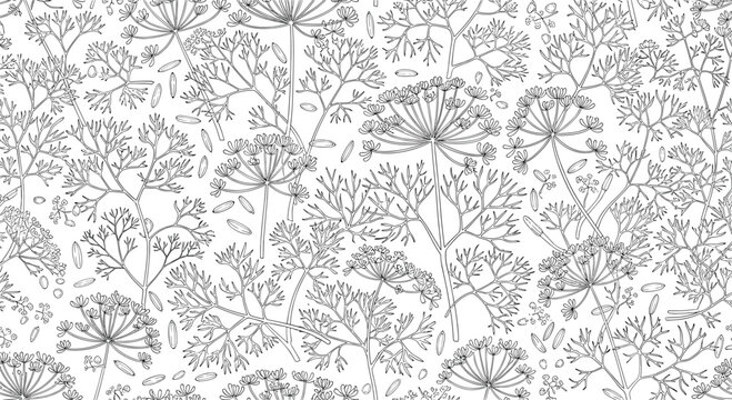 Seamless black and white pattern featuring detailed sketches of dill or fennel plants with feathery leaves and delicate umbrella flowers.
