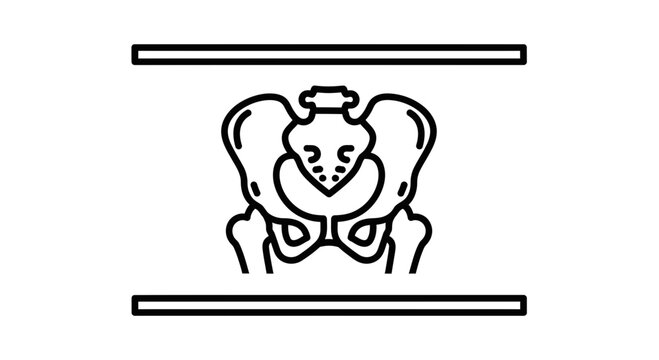 Clean vector outline illustration of the human pelvis, depicting fundamental skeletal anatomy