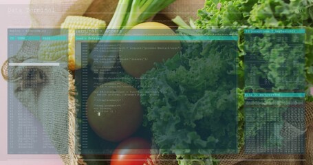 Displaying fresh produce resting on rustic kitchen counter, with kale, tomato, eggs and terminal UI © vectorfusionart