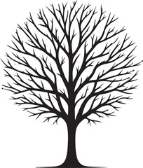 Obraz premium A striking black and white illustration of a bare deciduous tree with intricate branches. Vector, illustration