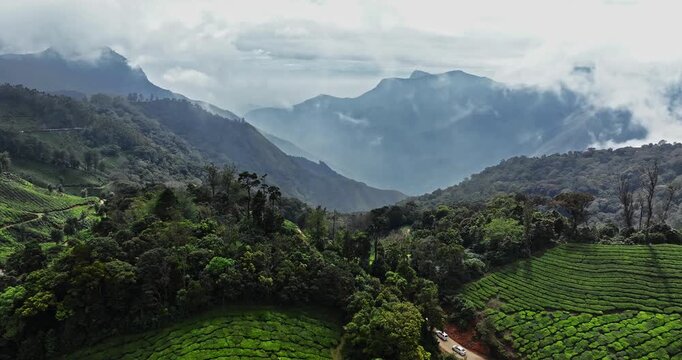 Close-up cinematic aerial view of Tea Plantation hill valley in Munnar, Kerala, India. Aerial view of a tea plantation in Munnar. The beautiful Western Ghats mountain range in Kerala