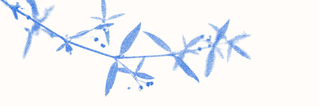 Cyanotype halftone overlay texture bg with leaves silhouettes. Vector soft blue wallpaper for template, graphic design projects, artworks