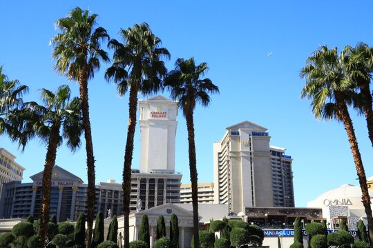 Caesars Palace Casino & Resort. Built in 1966, The facility is one of the largest and most popular resorts on the strip. Las Vegas, Nevada