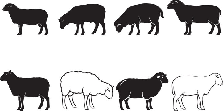 Goat vector character collection, set of cute domestic farm animals isolated on white background