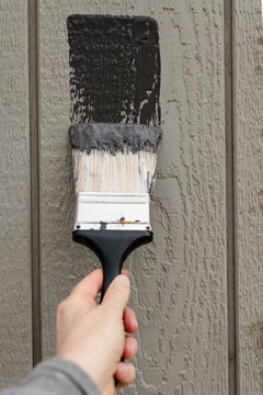 A woman updating an old barn for chickens painting it a dark grey color. 