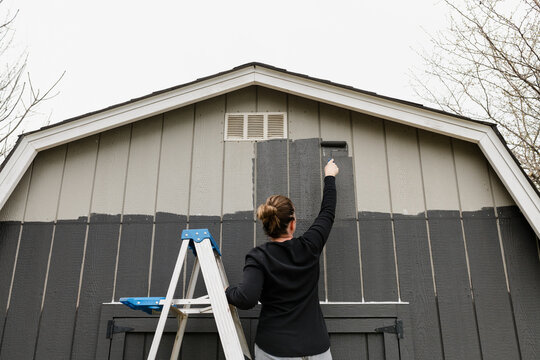 A woman updating an old barn for chickens painting it a dark grey color. 