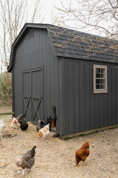 A freshly painted barn in the spring for chickens. 