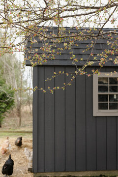 A freshly painted barn in the spring for chickens. 