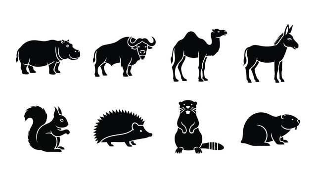 A collection of diverse animal silhouettes including a hippo bison camel and squirrel displayed in black tones silhouette high quality professional