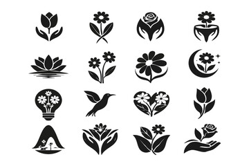 Fototapeta premium Elegant black and white botanical and nature-inspired icon collection