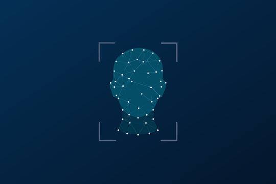 Digital face scan with connecting nodes and targeting reticles displayed