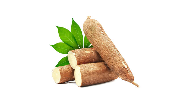 Fresh raw cassava roots with green leaves isolated on a white background. Tropical tuber crop.