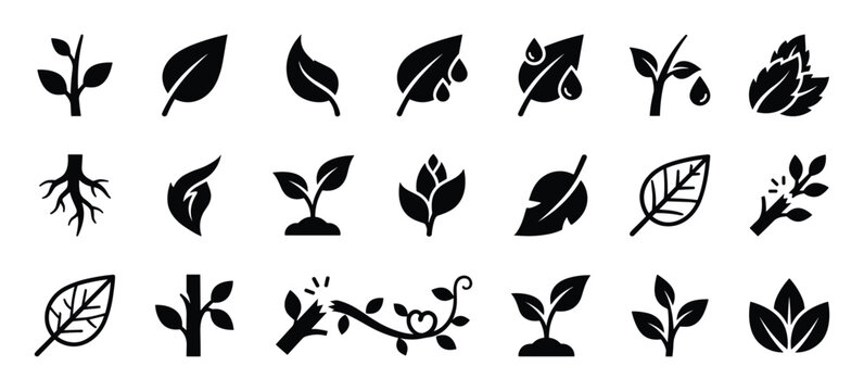 Comprehensive collection of twenty-four black silhouette plant and leaf icons, depicting various stages of growth, nature, and organic elements