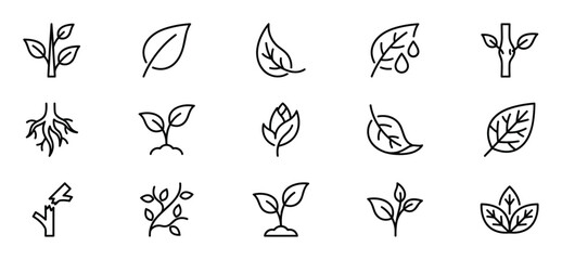 Fototapeta premium Collection of fifteen black outline icons depicting various plant elements like leaves, roots, sprouts, and branches on a clean white surface