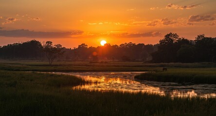 Naklejka premium Sunset glow illuminating a tranquil wildlife sanctuary