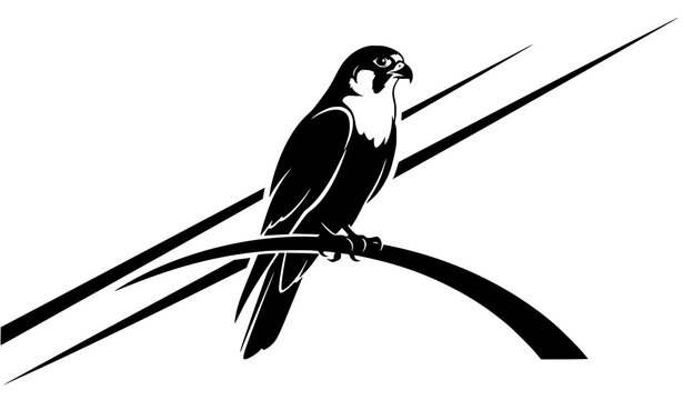 Perched falconet bird silhouette vector illustration isolated on white background elegant wildlife design