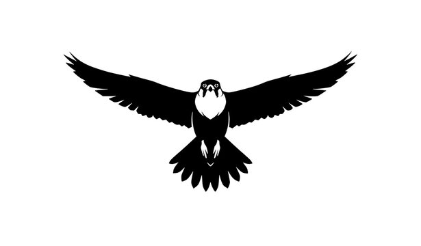 Falconet bird flying silhouette vector illustration isolated on white background modern wildlife concept