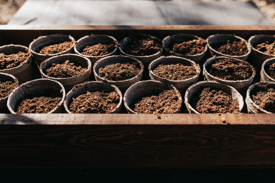 Starting a vegetable garden with seeds in pots for a spring garden. 