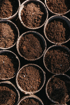 Starting a vegetable garden with seeds in pots for a spring garden. 