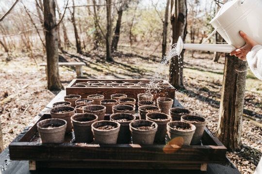 Starting a vegetable garden with seeds in pots for a spring garden. 