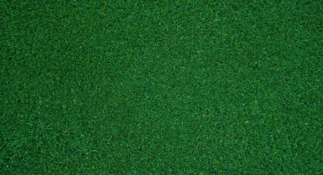 Studio light green grass surface background featuring natural pattern and copy space
