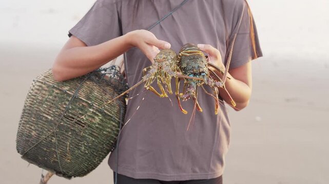 spiny lobsters caught at sea, close-up