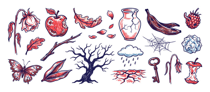 Collection of hand-drawn decaying and broken objects, including a withered flower, a cracked vase, and a rotten banana, depicting themes of decay and abandonment