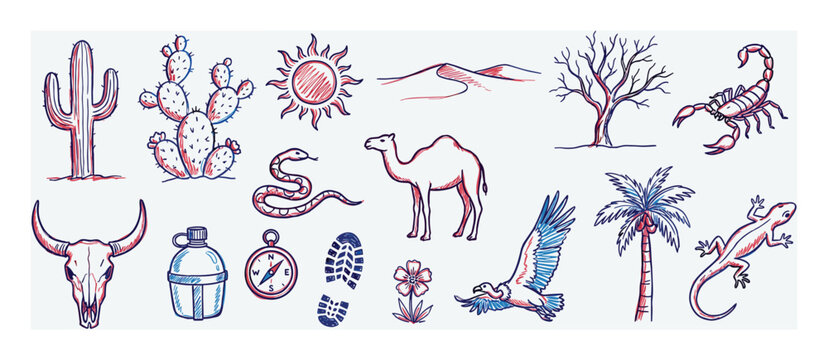 Collection of hand-drawn desert elements including cacti, a sun, snake, camel, scorpion, skull, canteen, compass, and palm tree, rendered in a sketch art style