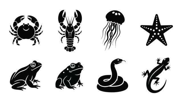 A collection of marine and amphibian animal icons are displayed in stark black creating a dramatic silhouette high quality professional detailed