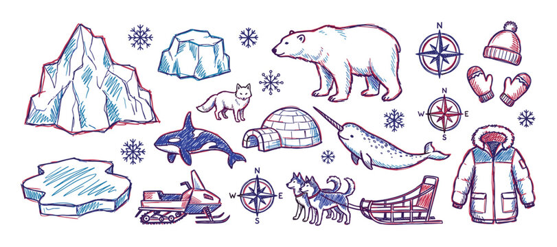 Collection of hand-drawn arctic elements, including animals, ice formations, and winter gear, depicted in a sketch style