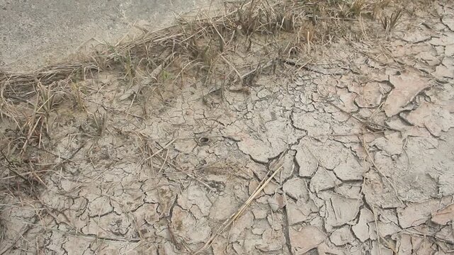 Close-up view of cracked earth, a geological phenomenon known as desiccation cracks. The image displays the parched surface of the ground